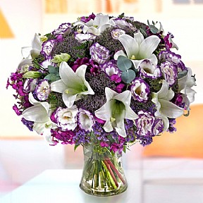 Lily & purple Lily & purple
